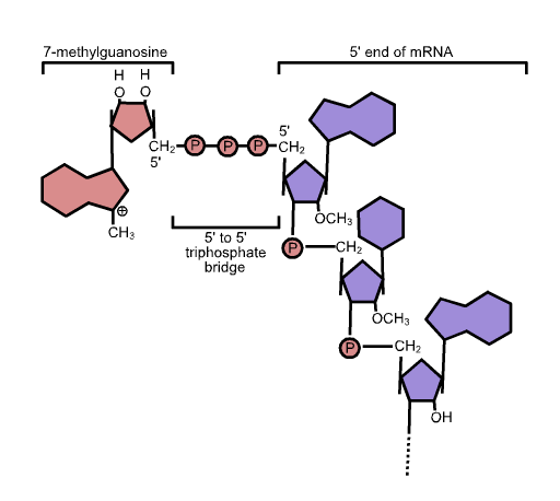 Pasted image 20250209164049.png300