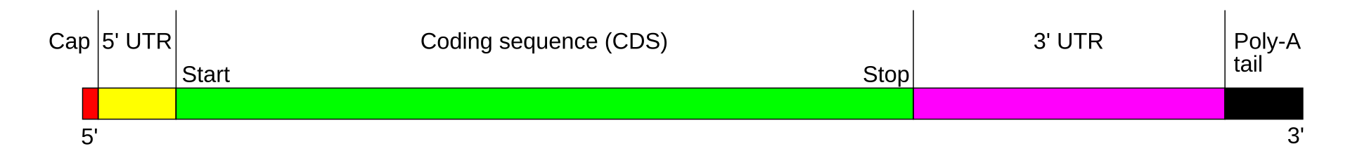 Pasted image 20250209200121.png